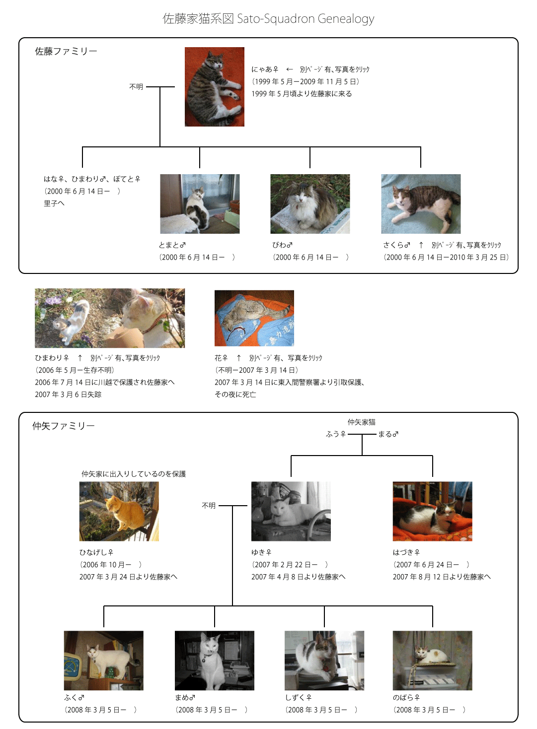 Sato-Squadron Genealogy