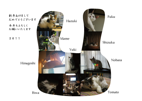 2011 Card