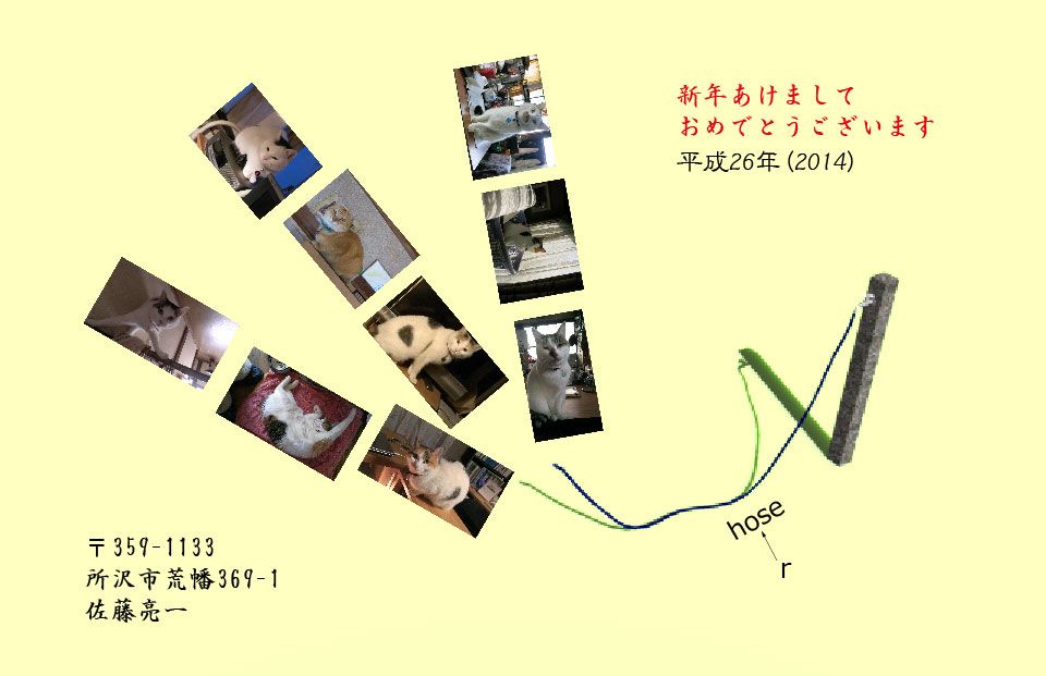 New Year Card 2014