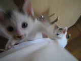 Climb Up