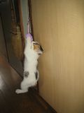 Hanging