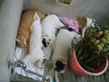 Take a nap-2
