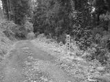 Path