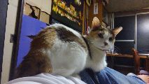 Fuji04