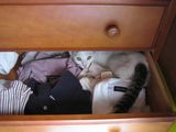 Box-3