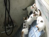 Climbing
