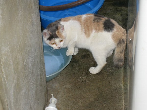 HimaPhoto4