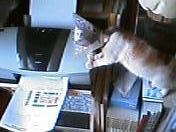 Secretary