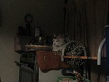 Meditation