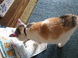 Reading