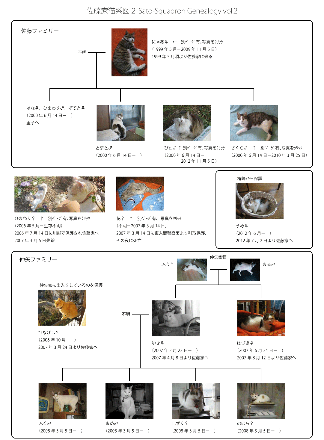 Sato-Squadron Genealogy vol.2