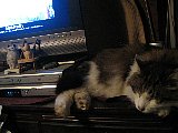 Sleep