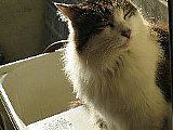 Washing
