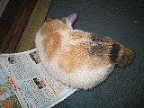 Zzzz